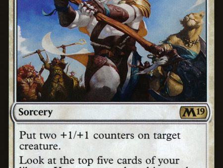 Ajani s Influence [Core Set 2019] Online Sale