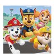 Paw Patrol Adventures Lunch Tissues 16pcs Online Sale