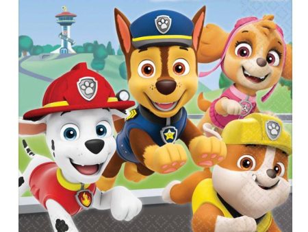 Paw Patrol Adventures Lunch Tissues 16pcs Online Sale