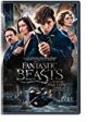 FANTASTIC BEASTS & WHERE TO FIND THEM  - DVD on Sale